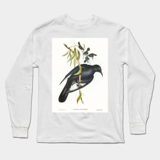 White-winged Chough Long Sleeve T-Shirt